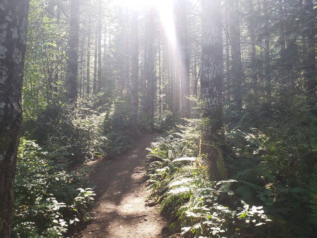 Intermediate hikes in Kitsap County to finish Summer