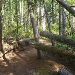 Intermediate hikes in Kitsap County to finish Summer