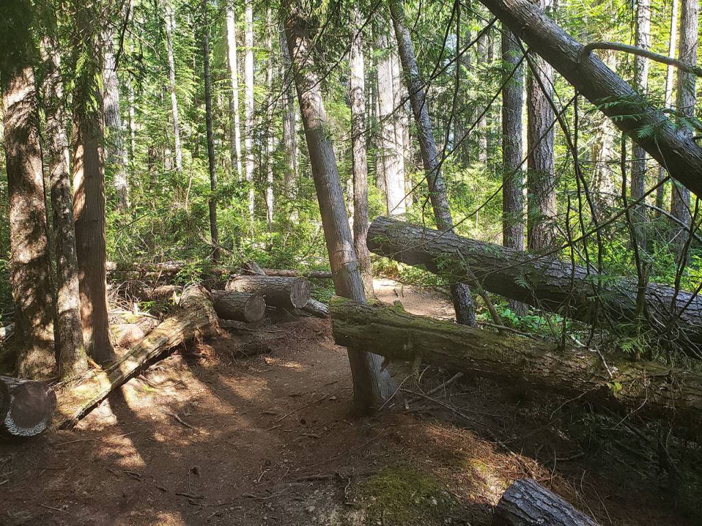 Intermediate hikes in Kitsap County to finish Summer