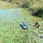 Sheriff’s K-9 ‘recovering well’ after tracking suspect into contaminated lake