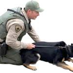 ‘Blue’ stars at Kitsap County Sheriff’s Office open house