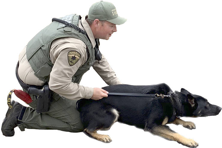 ‘Blue’ stars at Kitsap County Sheriff’s Office open house