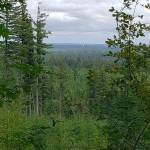 One last trek for the summer: Green Mountain’s Wildcat Trail