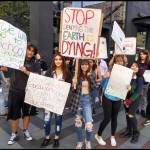 (photo courtesy of Madrona Eickmeyer)