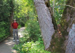 Clear Creek beckons with a trail for all seasons