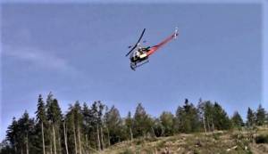 Hansville Happenings