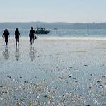 West Sound Ecosystem Fair is Oct. 12