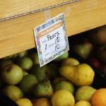 The food bank at Fishline distributes fish bucks which act as currency in the food bank allowing shoppers to get what they need. In this case, one fish buck would get them 10 pears due to the abundance, items that are not in abundance tend to cost more fish bucks.