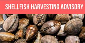 Photo courtesy of Kitsap Public Health District