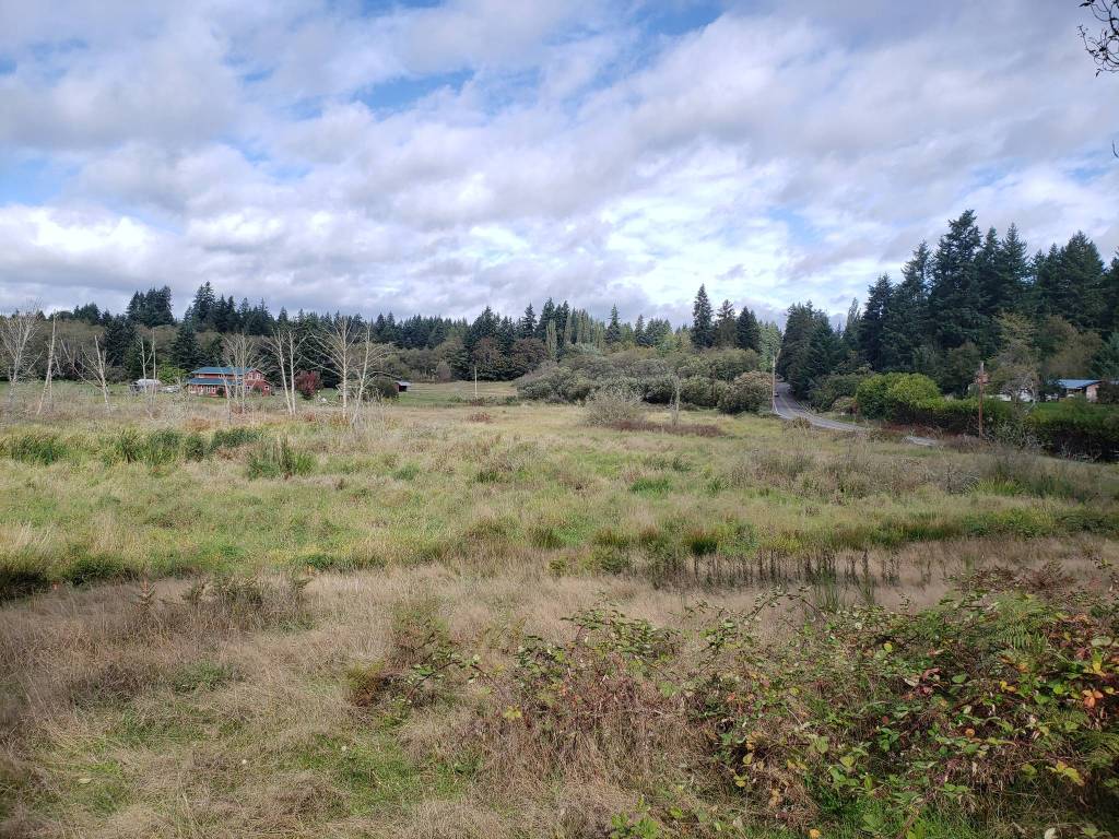 Kitsap Conservation District partners with landowner to restore Carpenter Creek wetland