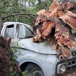 Robert Zollna and Bob Smith of the Port Orchard Independent teamed up to capture photos of the aftermath of an EF-2 tornado that struck a portion of the city in December. Their photos were award winners in the 2019 Washington Newspaper Publishers Association Better Newspaper Contest. (Robert Zollna | Independent 2018)