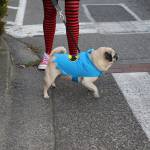 Gallery | Ghoulsbo 2019