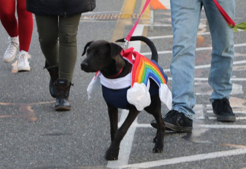 Gallery | Ghoulsbo 2019