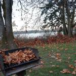 Nature is nearing its job of disposing of the leaves from deciduous trees near Manchester State Parks enclosed picnic area. (Bob Smith | Kitsap Daily News)