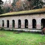 Manchester State Park shows its true fall colors