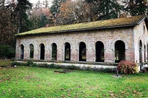 Manchester State Park shows its true fall colors