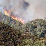 South Puget Sound firefighters in California