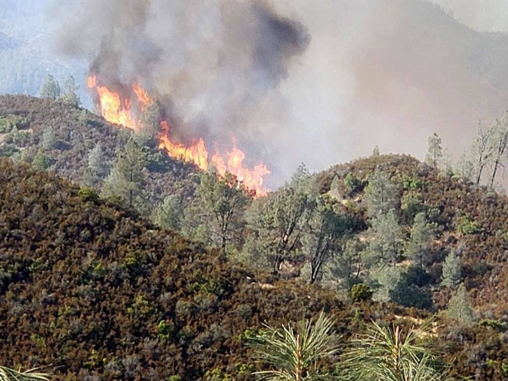 South Puget Sound firefighters in California