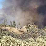 South Puget Sound firefighters in California