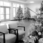 December Village Green Foundation news