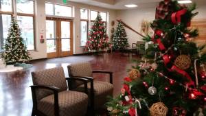 December Village Green Foundation news