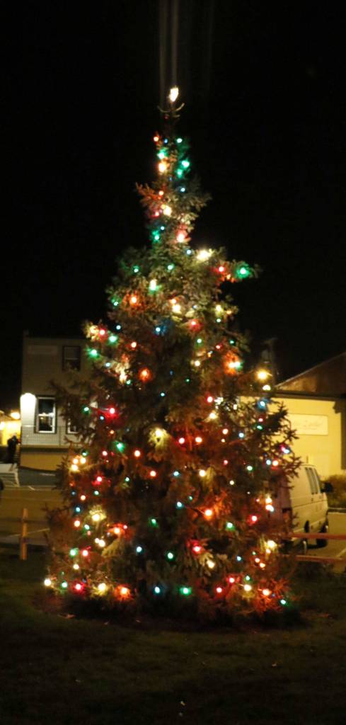 A tree lights a path between the Sons of Norway and the Pavillion.