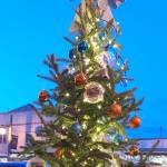 Bay Street to go ‘full Santa’ on Saturday