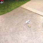 Witnesses say Chiefstick dropped screwdriver before being shot