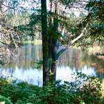 Lake Flora Road culvert damaged by storm