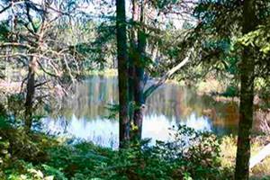 Lake Flora Road culvert damaged by storm