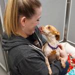 The training center also will enable behavioral staff to work more frequently with a greater number of dogs, Sarah Moody-Cook, the agencys director of animal welfare, said. (Bob Smith | Kitsap Daily News)