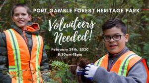 Conservancy and county team up on local tree planting