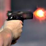 The bill would apply to people who have threatened to use a firearm against a vulnerable adult. (File photo illustration)