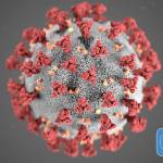 70 cases of COVID-19 confirmed in Washington