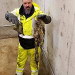 City Public Works employee Tom Barnes holds up a clog caused by flushable wipes from one of Poulsbos nine lift stations. (Photo courtesy of Mike Lund)