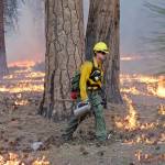 Hot, dry conditions will increase wildfire risk this weekend