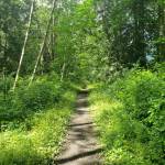 Attainable island hikes for an approaching summer