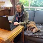 Rhonda Manville, who is working from her Silverdale home during COVID-19 for Kitsap Humane Society, is never far from the sight of Chester, her watchful 15-year-old dachshund. (Rhonda Mandville photo)