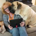 Work-at-home buddy keeps you sane