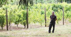 They’re not whining but COVID has caused problems for BI vintners