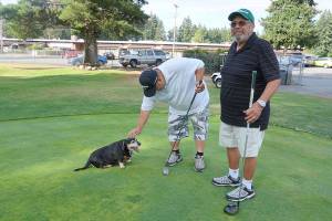 Virus notwithstanding, golfers are heading to the links