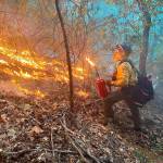 A firefighter establishes a fire line to halt the spreading blaze at the Evans Canyon fire. (SKFR photo)