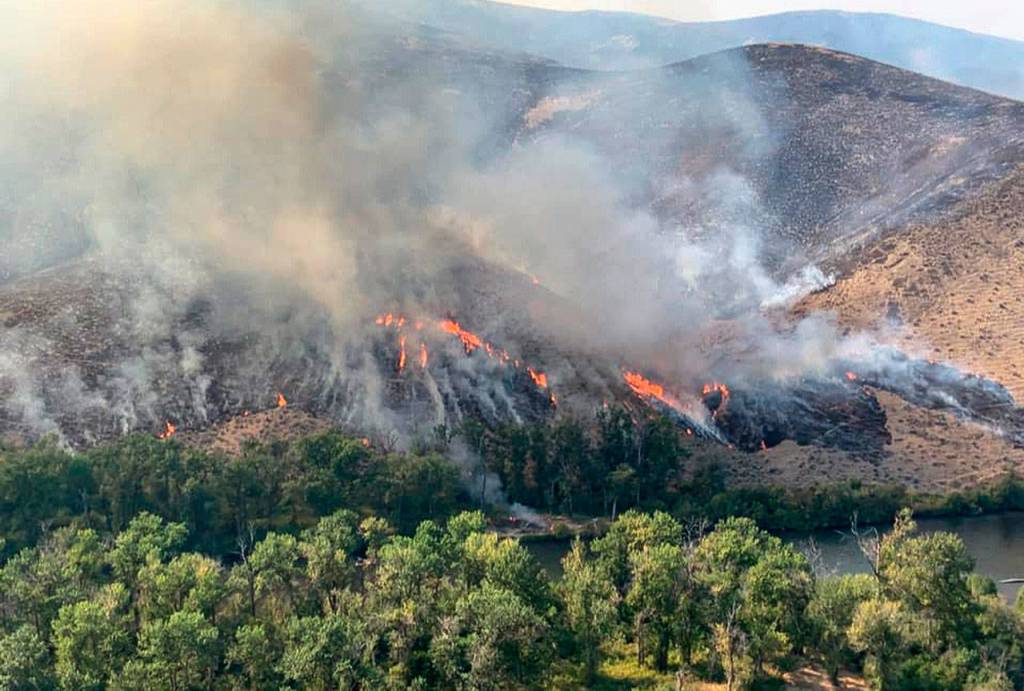 Fires in the Evans Canyon area near Naches, Yakima County, roar out of control Sept. 4. (SKFR photo)