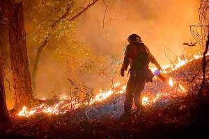 SKFR is stamping out fires down the West Coast