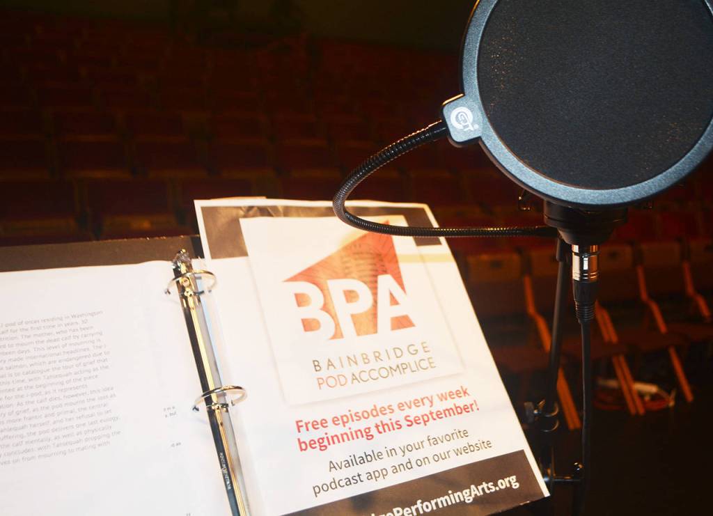 Audio killed the video star during COVID