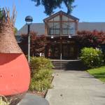 Audio killed the video star during COVID