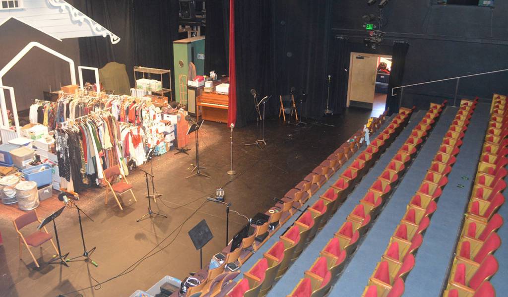 Audio killed the video star during COVID