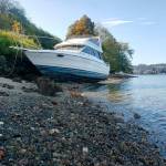 A Bayliner yacht stranded along the shoreline of Sinclair Inlet just east of Ross Point captured the attention of motorists driving on Highway 166 out of Port Orchard. Kitsap Daily News photographer Robert Zollna reported the Bayliner was perched at the shore Wednesday afternoon, sans its skipper or crew. (Robert Zollna | Kitsap Daily News)