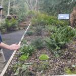 New director Patrick McMillan shows a raised flower bed at the new Renaissance Garden. Steve Powell/North Kitsap Herald photos
