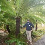 Heronswood is filled with palm trees and other coverings, providing shade for visitors on hot days.